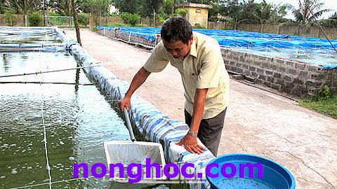 Nam Định: Xây dựng chuỗi liên kết chặt chẽ từ sản xuất đến tiêu dùng