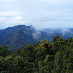 مزيد من الصور Rainforest%252520cloud