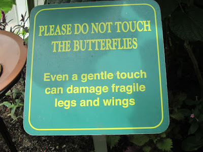 Butterfly sign warning fragile damage touch stock photo Butterfly sign warning fragile damage touch stock photo