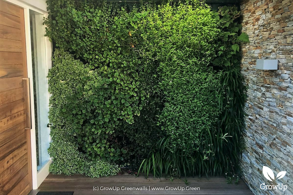 living wall outside the front door of a home