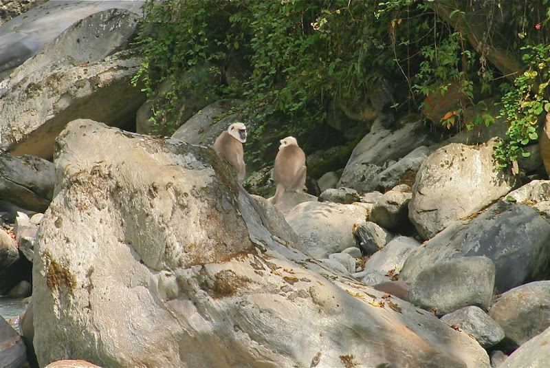 Аннапурна и Эверест через Гокио, в один присест. Весна 2013