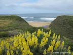 Entrance to Montara State Beach opposite McNee Ranch entrance.