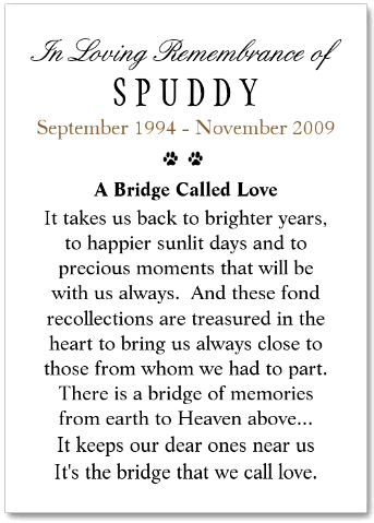 Purchase Heavenly Blue Pet Memorial Cards with A Bridge Called Love Poem on the Back