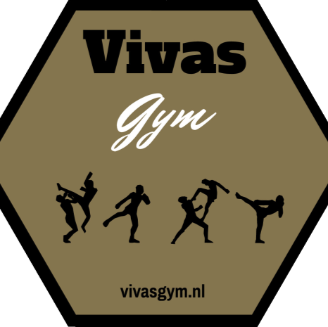 Vivas Gym logo