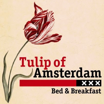 Tulip of Amsterdam logo