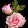 Najmah Farouk Najmah Farouk's profile photo