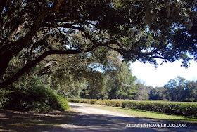 Charleston Tea Plantation