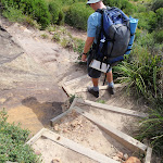 Track down steps to Garie Beach (99860)
