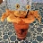 Nathan Cass avatar image