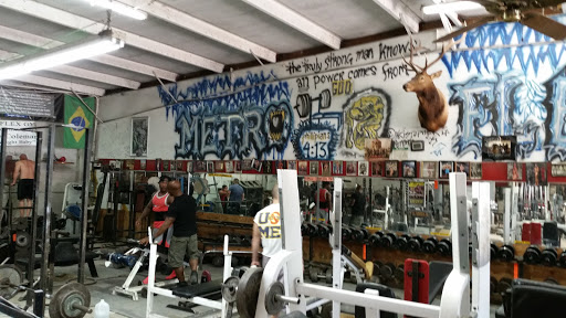 Gym «Metroflex Gym», reviews and photos, 2921 S Cooper St #109, Arlington, TX 76015, USA