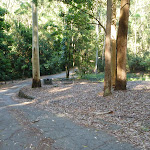 Small picnic area in the Blackbutt Reserve (399610)