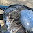 Lukas Grove avatar image