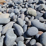 Rounded rocks on Crackneck beach (193502)