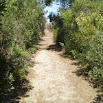 Trail near La Perouse (17730)