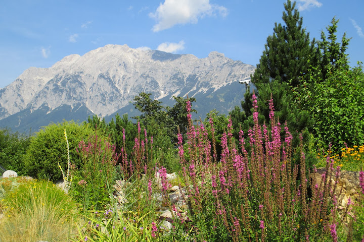 Viernes 26 de julio de 2013 Hall in Tyrol, Wattens, Alpbach, Salzburgo - Viajar por Austria es un placer (8)