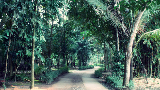 Cover photo