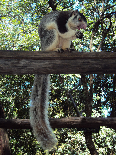 DSC06067.JPG