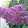 Faheem Arif Faheem Arif's profile photo