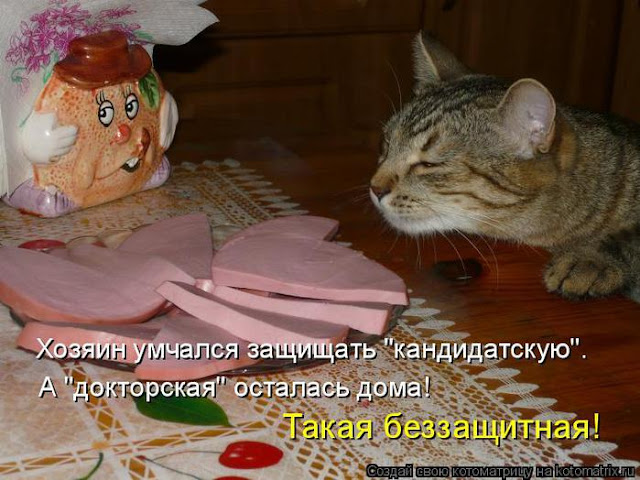 Ни дня без улыбки. Подари мне солнце… Ни дня без улыбки. Подари мне солнце…