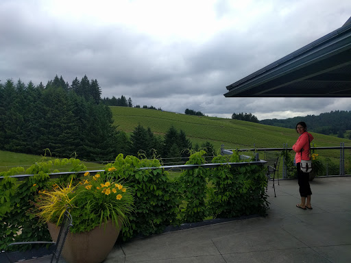 Winery «WillaKenzie Estate», reviews and photos, 19143 NE Laughlin Rd, Yamhill, OR 97148, USA