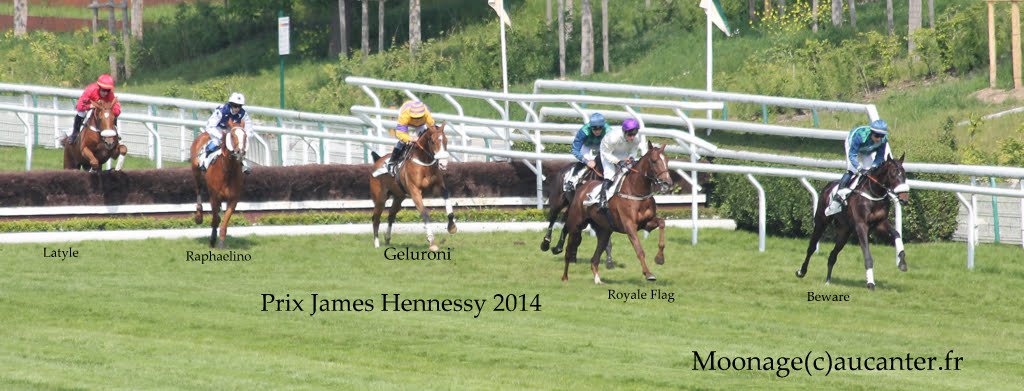 Prix James Hennessy 2014 (Steeple, Listed, Auteuil) 4-05 : Geluroni IMG_0894