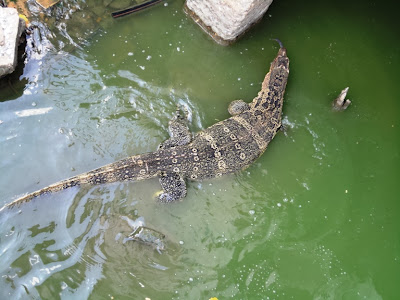 Майский Тай (Бангкок-Самуи-Тао)