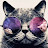 Colin Bewes avatar image