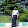 naser jabery naser jabery's profile photo