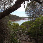 View throughthe trees of Bittangabee Bay (108097)