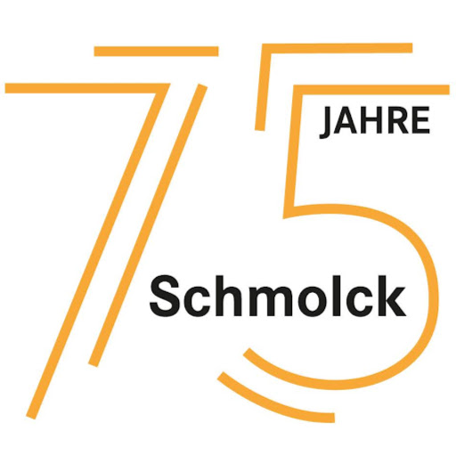 Autohaus Schmolck GmbH & Co. KG - Mercedes-Benz Müllheim logo