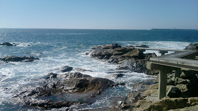 Cover photo