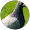 pigeon murderer