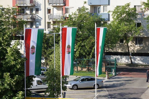 BudapEsti Virágpiac