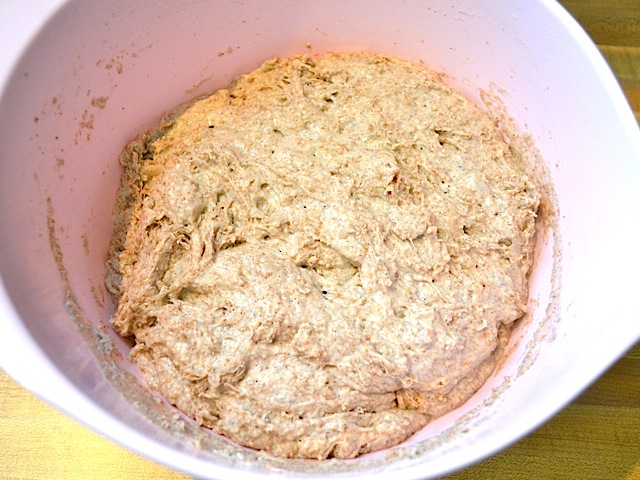 ferment