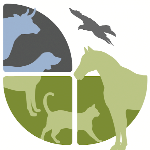 Bund gegen Missbrauch der Tiere e.V. Geschäftsstelle Berlin - bmt Berlin logo