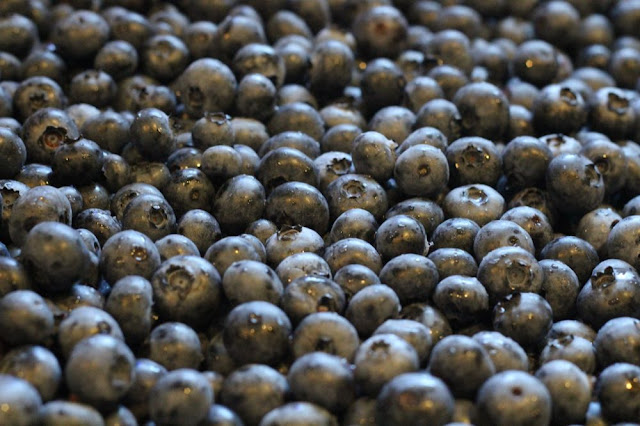 a small sea of blueberries