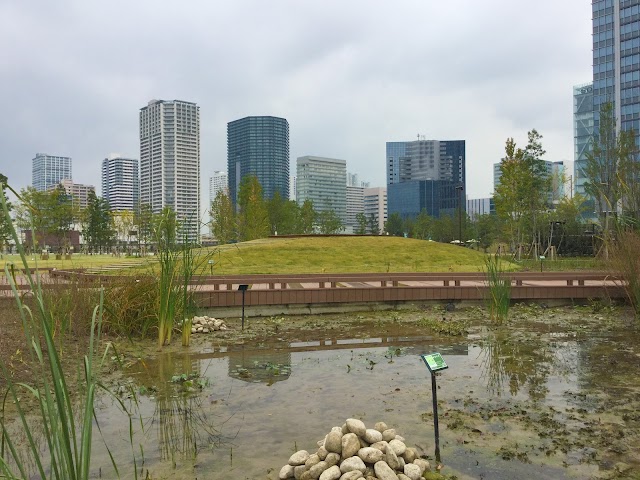 芝浦中央公園