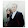 Stewart Seyfried Stewart Seyfried's profile photo