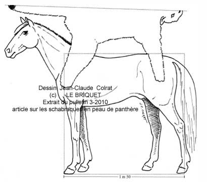 Cuirassier General Mounted (TERMINADO) - Página 2 Leopar11
