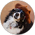 P J L