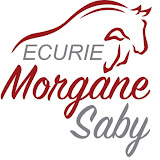 Ecurie Morgane Saby Centre Équestre, Poney Club, Pensions Et Balades À Cheval