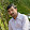Dileesh Meladath Dileesh Meladath's profile photo