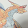 Kaiser Dragon Kaiser Dragon's profile photo