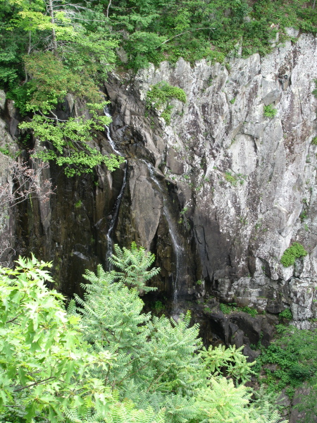 trickle of tall falls