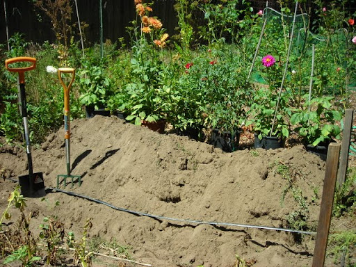 garden row trench in garden with spade and garden fork