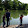 Nathan Loizeaux Nathan Loizeaux's profile photo