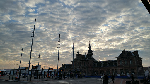 Delft