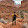 Jayson Gomes Jayson Gomes's profile photo