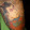 Ric Rudnicki Ric Rudnicki's profile photo