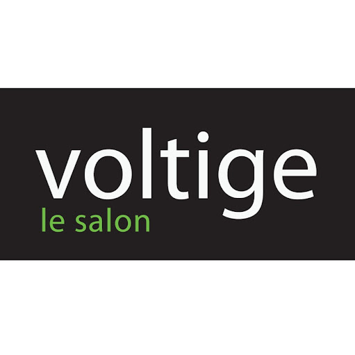 Voltige Le Salon logo